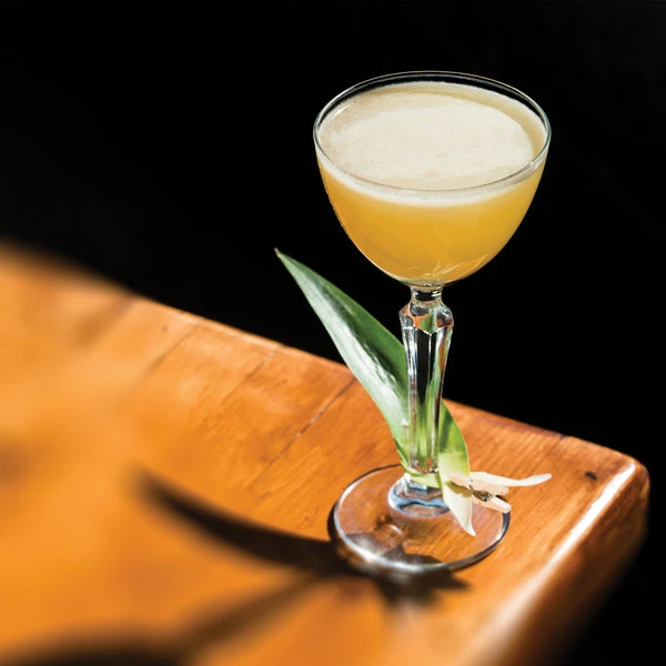 Libbey Speakeasy 4.75 Oz. Customizable Nick And Nora Glass - 12/Case 5 Libbey Speakeasy 4.75 Oz. Customizable Nick And Nora Glass - 12/Case - Image 3