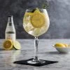 Libbey 602104 Speakeasy 19.5 Oz. Customizable Gin & Tonic Glass - 12/Case 1 Libbey 602104 Speakeasy 19.5 Oz. Customizable Gin & Tonic Glass - 12/Case -Wasserstrom store 1777215