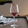 Master's Reserve 9323/U225A Acura Prism 16 Oz. Pour Control 9 Oz. / 6 Oz. Wine Glass - 12/Case -Wasserstrom store 1786042