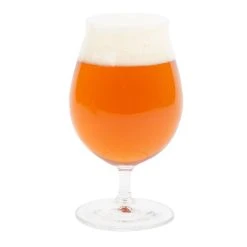 Spiegelau 4998024 Beer Classics 16 Oz. Stemmed Pilsner Glass - 12/Case 7 Spiegelau 4998024 Beer Classics 16 Oz. Stemmed Pilsner Glass - 12/Case -Wasserstrom store 995578